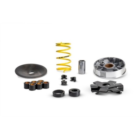 Variatore Multivar Malossi 51 3863 per Piaggio Ciao Boxer SI