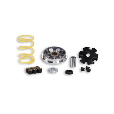Variatore Multivar Malossi 51 7074 per Honda Lead SH 50 PGA