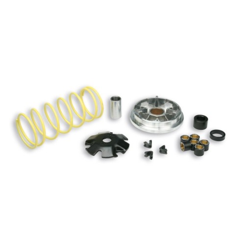 Variatore Multivar Malossi 51 7081 per Piaggio Sfera ZIP 50