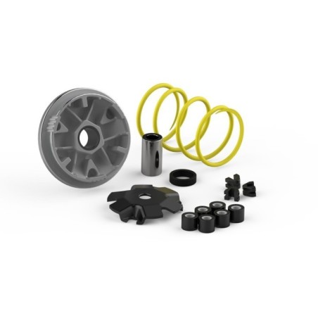 Variatore Multivar Malossi 51 7117 per Honda Bali SH SKY 50