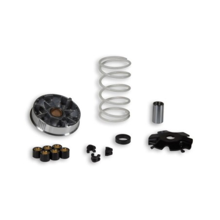 Variatore Multivar Malossi 51 7484 per Honda DIO ZX 50 2T