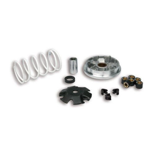 Variatore Multivar Malossi 51 8752 per Peugeot Buxy Elyseo