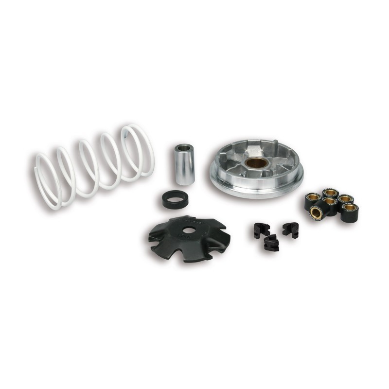 Variatore Multivar Malossi 51 8752 per Peugeot Buxy Elyseo