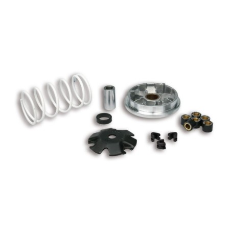 Variatore Multivar Malossi 51 8752 per Peugeot Buxy Elyseo