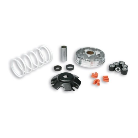 Variatore Multivar 2000 Malossi 51 9019 per Gilera Runner