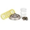 Variatore Multivar 2000 Malossi 5111226 per Honda Foresight