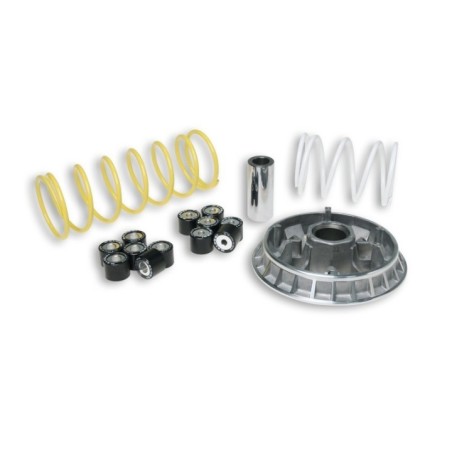 Variatore Multivar 2000 Malossi 5111261 per Honda Pantheon