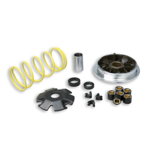 Variatore Multivar Malossi 5111298 per Suzuki Katana 50 2T