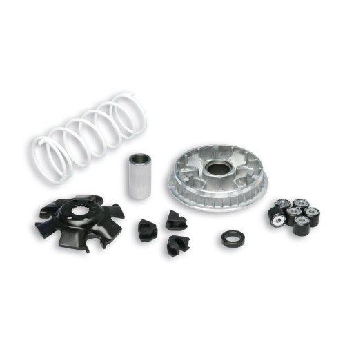 Variatore Multivar 2000 Malossi 5111324 per Suzuki Burgman