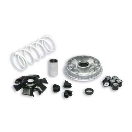 Variatore Multivar 2000 Malossi 5111324 per Suzuki Burgman