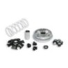 Variatore Multivar 2000 Malossi 5111324 per Suzuki Burgman
