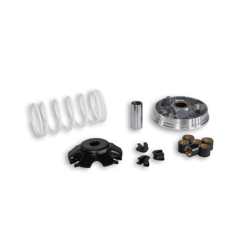 Variatore Multivar 2000 Malossi 5111364 per Honda Bali SH