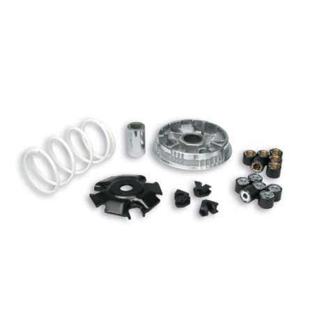 Variatore Multivar 2000 Malossi 5111397 per Piaggio Beverly