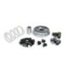 Variatore Multivar 2000 Malossi 5111397 per Piaggio Beverly