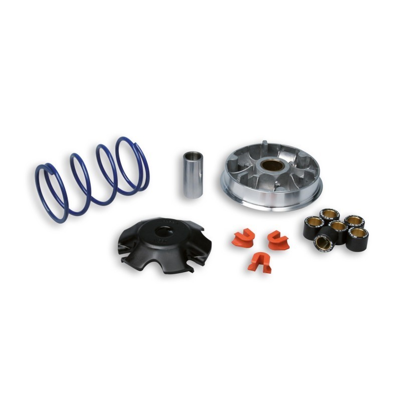Variatore Multivar 2000 Malossi 5111558 per Peugeot 100 per