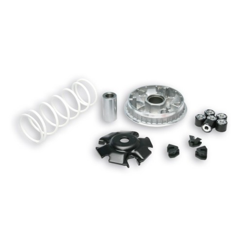 Variatore Multivar 2000 Malossi 5111572 per Honda SH PS 125