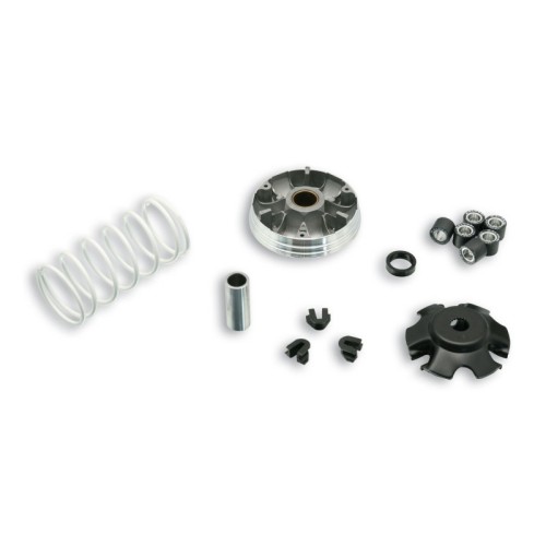 Variatore Multivar 2000 Malossi 5111597 per Piaggio Liberty