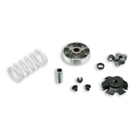 Variatore Multivar 2000 Malossi 5111597 per Piaggio Liberty