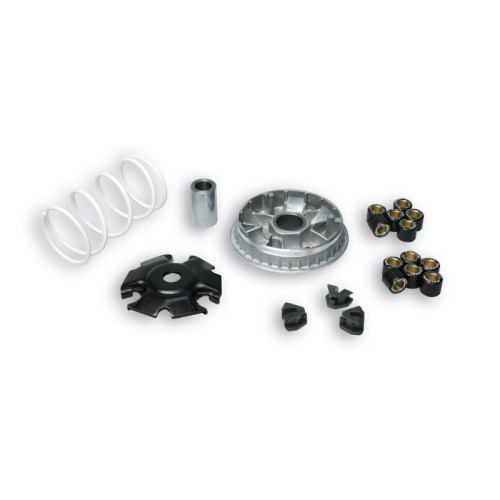 Variatore Multivar 2000 Malossi 5111885 per Gilera Nexus