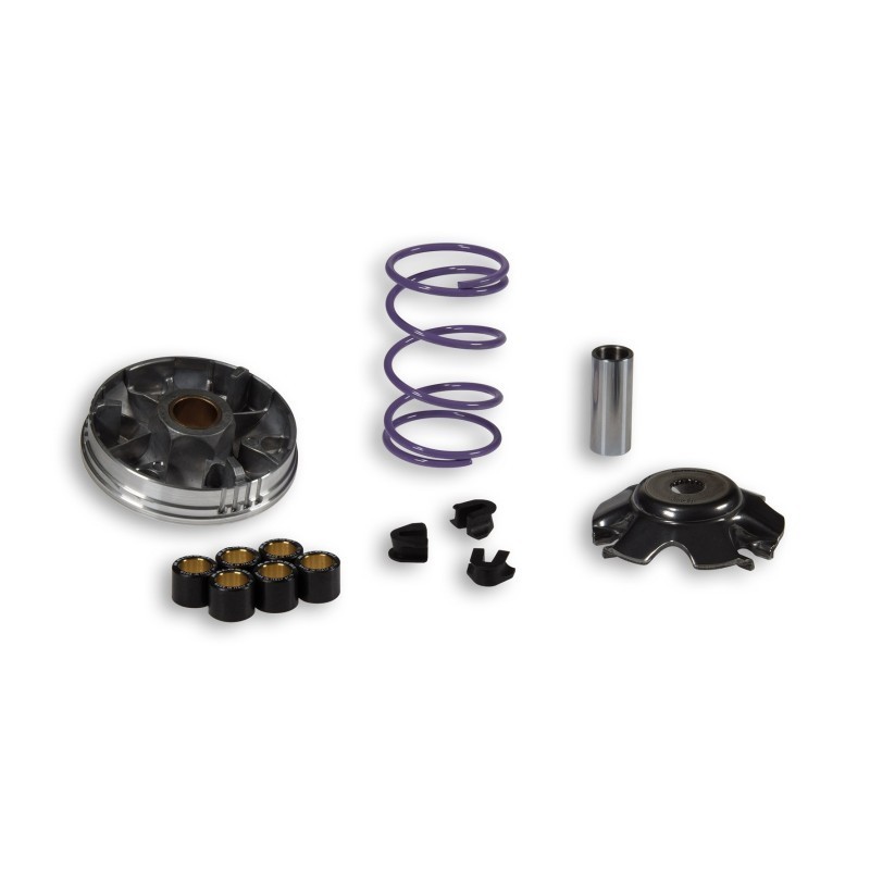 Variatore Multivar 2000 Malossi 5112024 per Piaggio Free