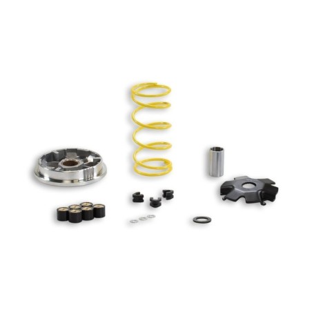 Variatore Multivar 2000 Malossi 5112026 per Suzuki Address