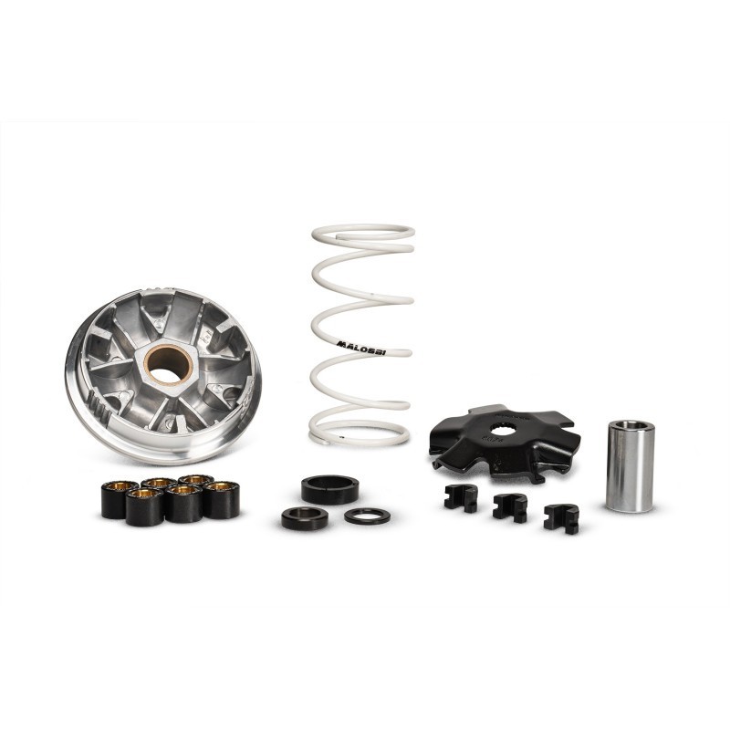Variatore Multivar ATV Malossi 5112206 per Multivar ha