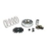 Variatore Multivar Malossi 5113139 per Peugeot V Clic 50 4T