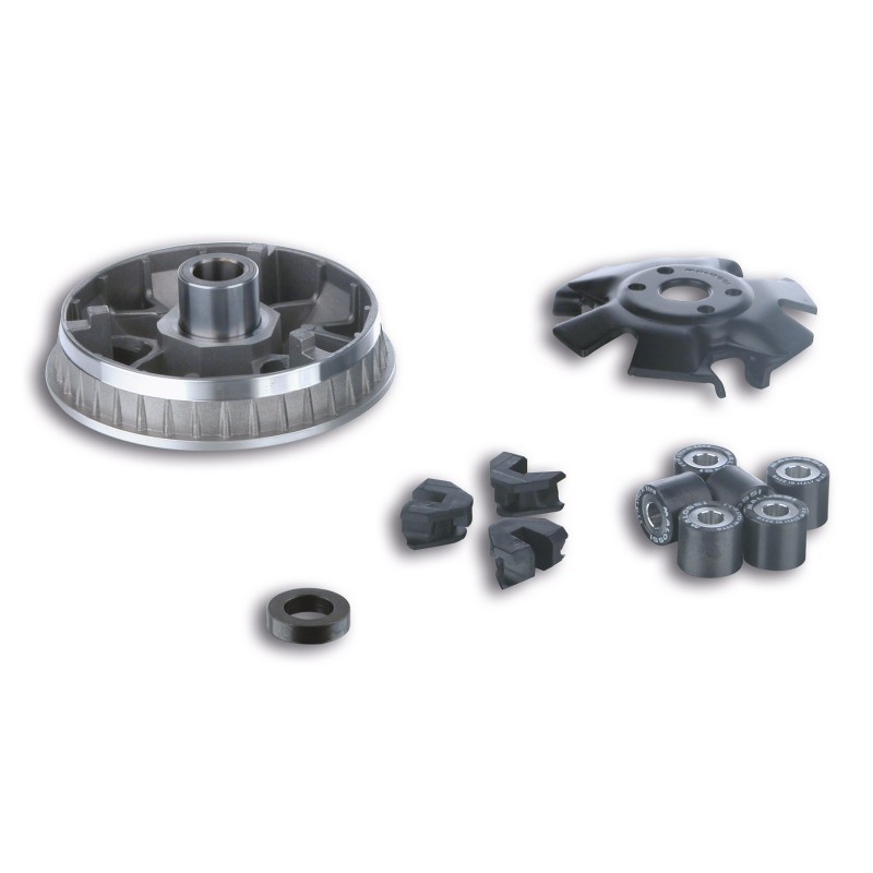 Variatore Multivar 2000 Malossi 5113365 per Peugeot