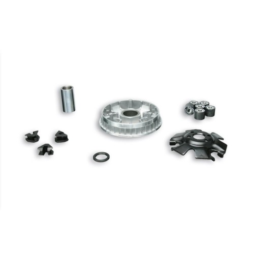 Variatore Multivar 2000 Malossi 5113485 per Peugeot Satelis
