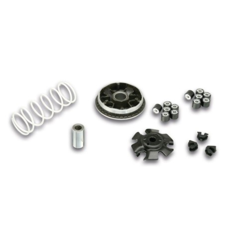 Variatore Multivar 2000 MHR Malossi 5114065 per Honda SH I