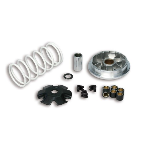 Variatore Multivar 2000 Malossi 5114206 per Peugeot