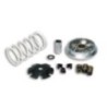 Variatore Multivar 2000 Malossi 5114206 per Peugeot