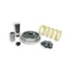 Variatore Multivar 2000 Malossi 5114258 per Suzuki Burgman