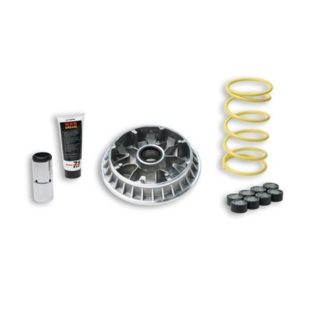 Variatore Multivar 2000 Malossi 5114263 per Suzuki Burgman