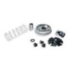 Variatore Multivar 2000 Malossi 5114266 per Kawasaki J 125