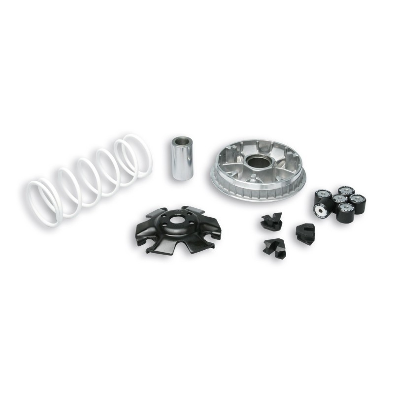 Variatore Multivar 2000 Malossi 5114272 per Malaguti Blog