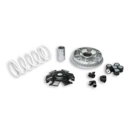 Variatore Multivar 2000 Malossi 5114272 per Malaguti Blog
