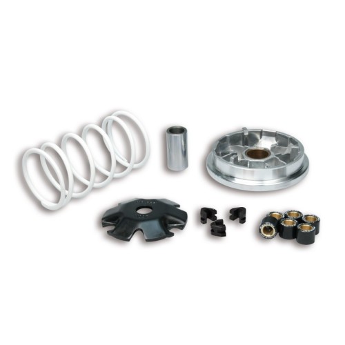Variatore Multivar 2000 Malossi 5115209 per Honda Vision 50