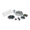 Variatore Multivar Malossi 5115639 per MULTIVAR 2000