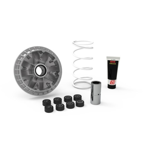 Variatore Multivar 2000 Malossi 5116277 per Suzuki Burgman