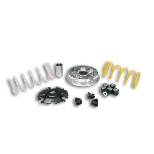 Variatore Multivar 2000 Malossi 5116674 per Piaggio Liberty
