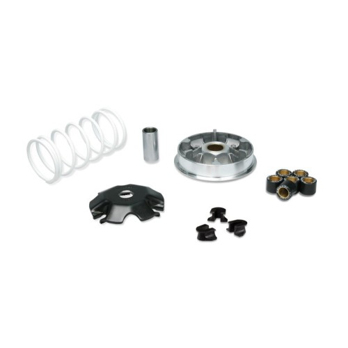 Variatore Multivar 2000 per Malossi 5117717 per Honda Lead