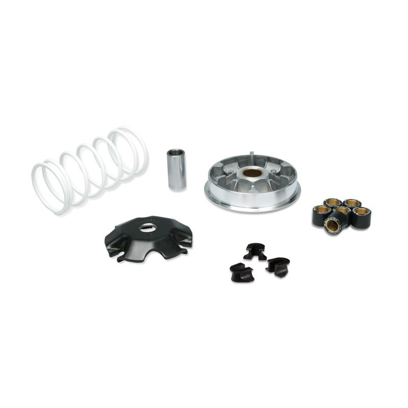 Variatore Multivar 2000 per Malossi 5117717 per Honda Lead