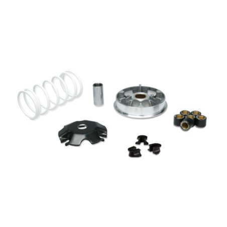 Variatore Multivar 2000 per Malossi 5117717 per Honda Lead