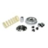 Variatore Multivar 2000 Malossi 5118033 per Aprilia SR 150
