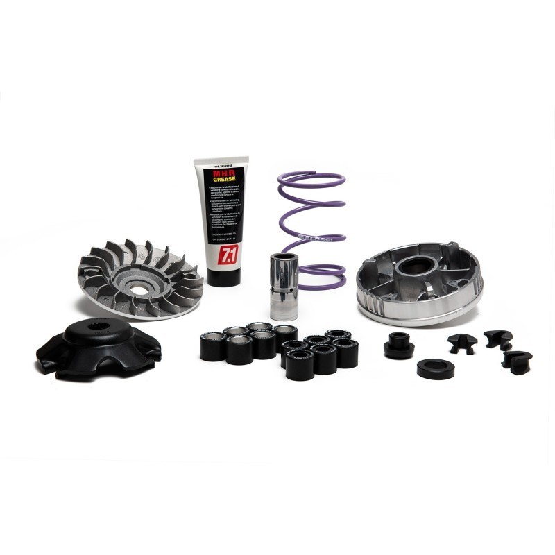 Variatore Multivar MHR Team 2 Scooter Malossi 5118238 per Pi
