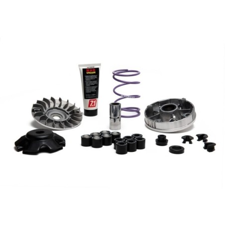Variatore Multivar MHR Team 2 Scooter Malossi 5118238 per Pi