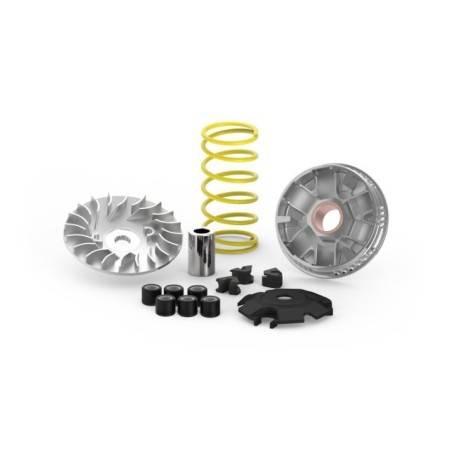 Variatore Multivar 2000 Malossi 5118401 per Yamaha Cygnus
