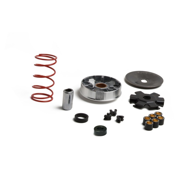 Variatore Multivar MHR per Over Range Malossi 5118535 per