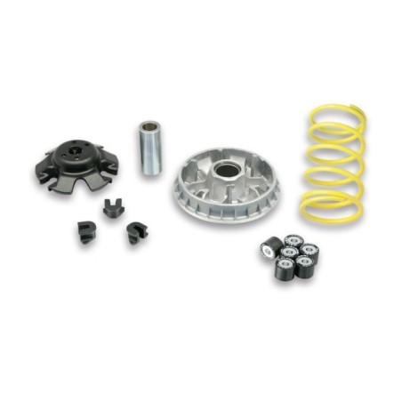 Variatore Multivar 2000 Malossi 5118627 per Piaggio Hexagon
